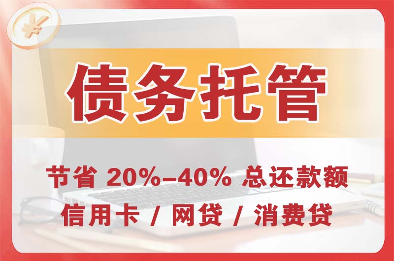 类乌齐债务托管